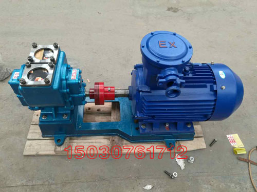 YHCB系列汽車(chē)圓弧泵 YHCB系列汽車(chē)圓弧泵